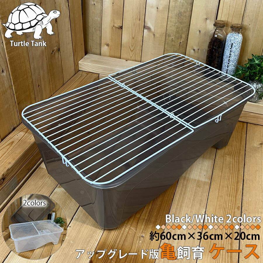 楽天市場】アップグレード 亀飼育ケース (中) タートルタブ 排水口付き