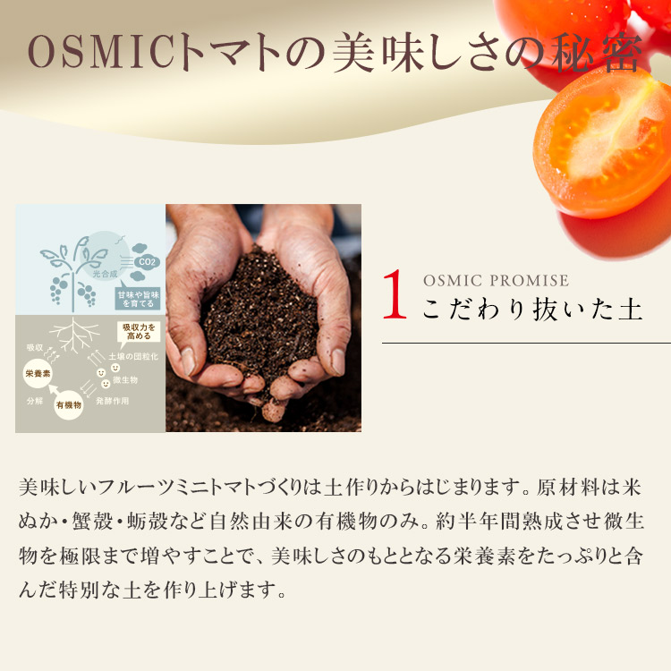 楽天市場】【糖度12】【定期購入】フルーツミニトマト QUEEN 2kg OSMIC