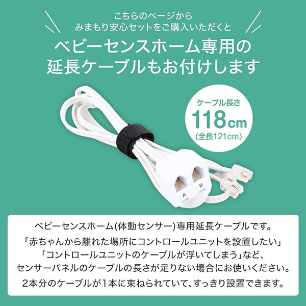 楽天市場】＼レビュー投稿で2,000円クーポンGet／ 正規販売店 ベビー