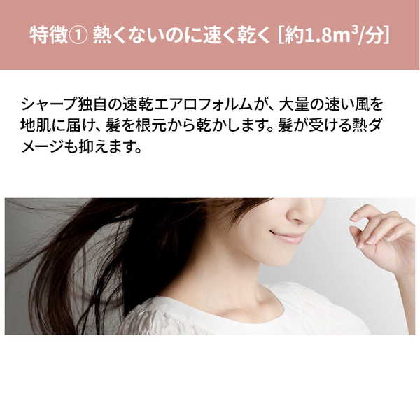 楽天市場】シャープ SHARP IB-NP9-V パープル系コズミックパープル