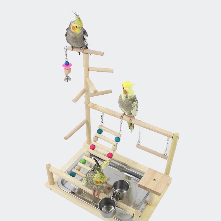 楽天市場】インコ 遊び場 鳥用 アスレチック 2層 バードトイ 鳥の