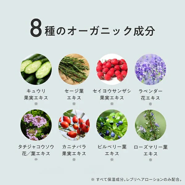 楽天市場】ハホニコ レブリ シャンプー アルファ α 1000mL + α