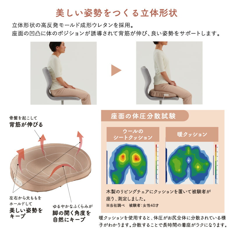 楽天市場】【ポイント10倍】公式 フェムオンテック 暖クッション AX