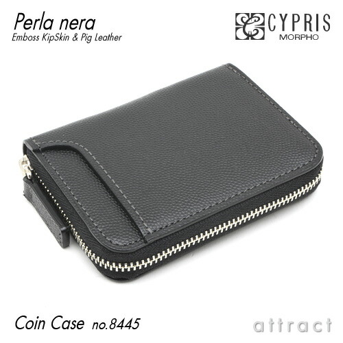 コロンビア産 キプリスモルフォ 99mm コロンビア産 キプリスモルフォ