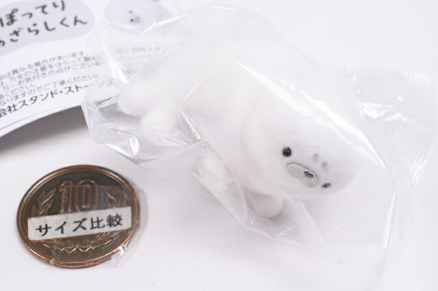 楽天市場】ぽってりあざらしくん [5.はいはい]【 ネコポス不可 】【C