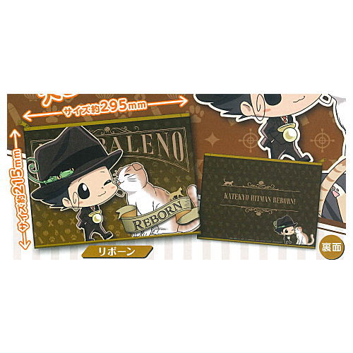 家庭教師ヒットマン REBORN! リボーン CCG ブリアンテ ケース付き 家庭