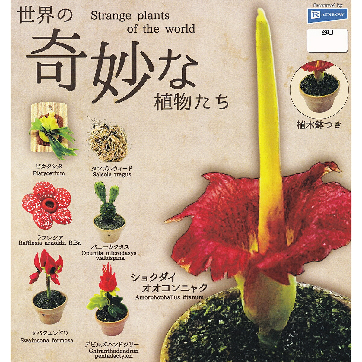 楽天市場】世界の奇妙な植物たち レインボー 【全7種フルコンプセット