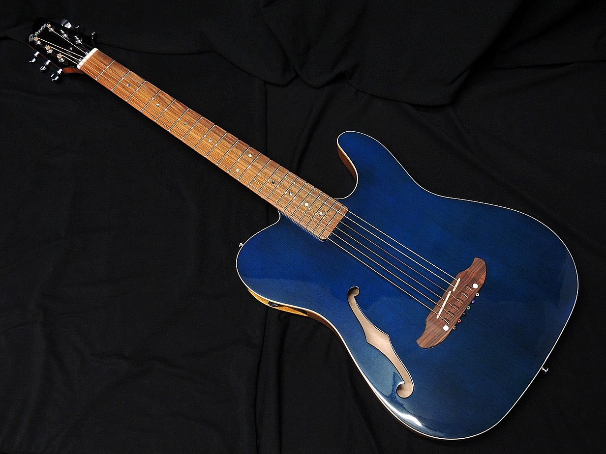 楽天市場】SCHECTER OL-FL STB Oriental Line シェクター 薄胴