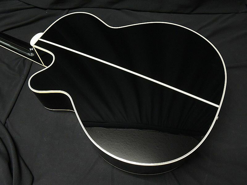 楽天市場】【コンタクトPU増設】Takamine TDP561C タカミネ