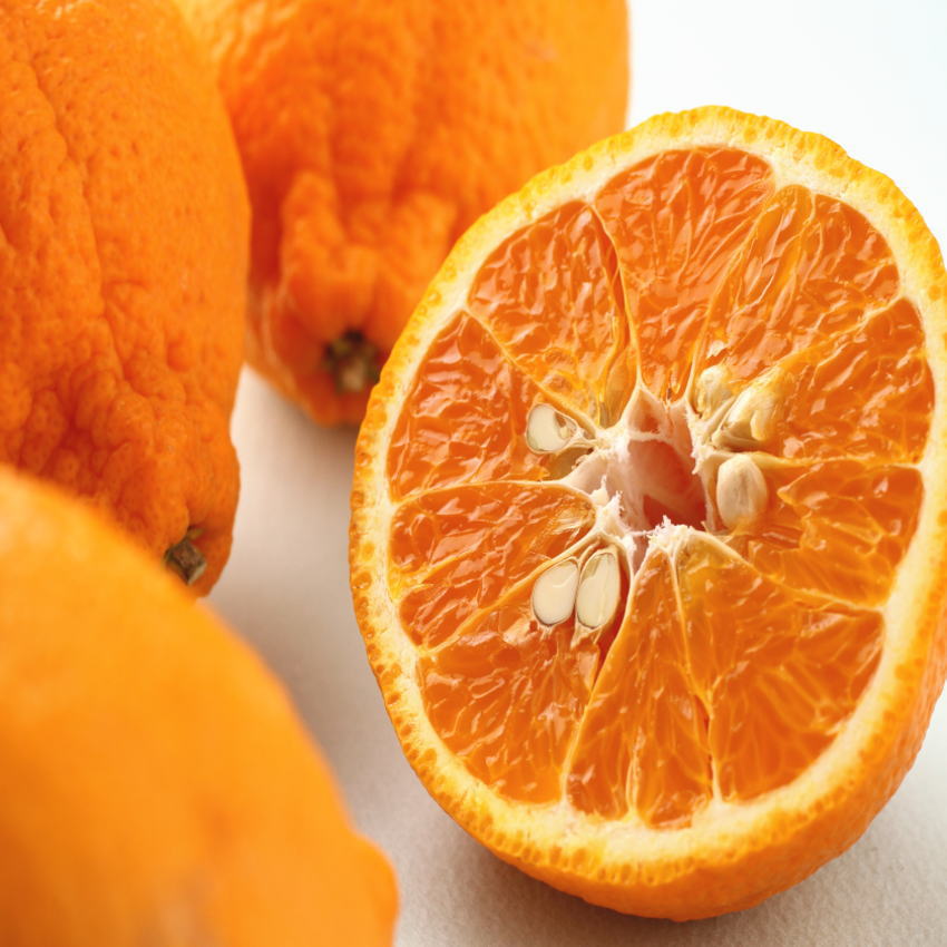 楽天市場】濃厚！高糖度なデコポン（不知火) 18〜24個 和歌山産 送料