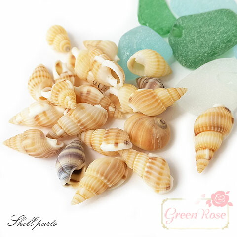 楽天市場】巻貝の貝殻 夏 マリン 海 サマー 夏休み 10g Kai-002
