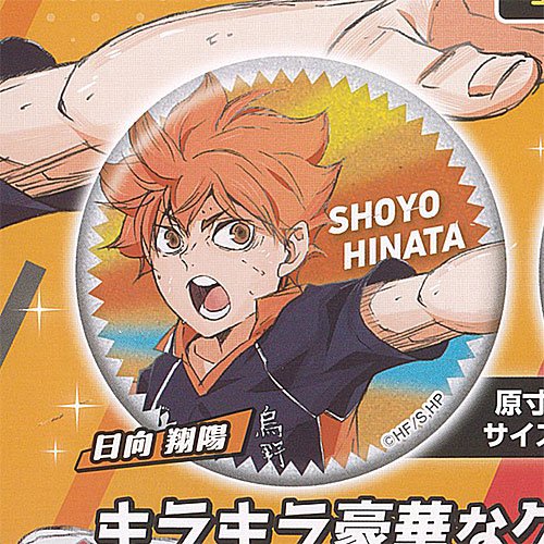 楽天市場】ハイキュー ラメグリッター 缶バッジ 1：日向翔陽 スタンド