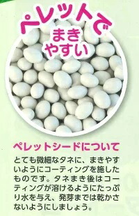 楽天市場】ブロッコリー ピクセル コート5000粒 (株)サカタのタネ