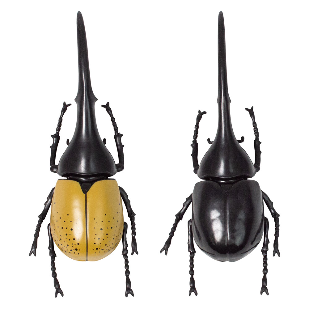 楽天市場】【カブトムシ おもちゃ リアル 昆虫 フィギュアセット 子供