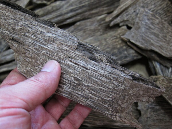 楽天市場】沈香 ベトナム産高級栽培沈香【訳あり中高ランク】100g