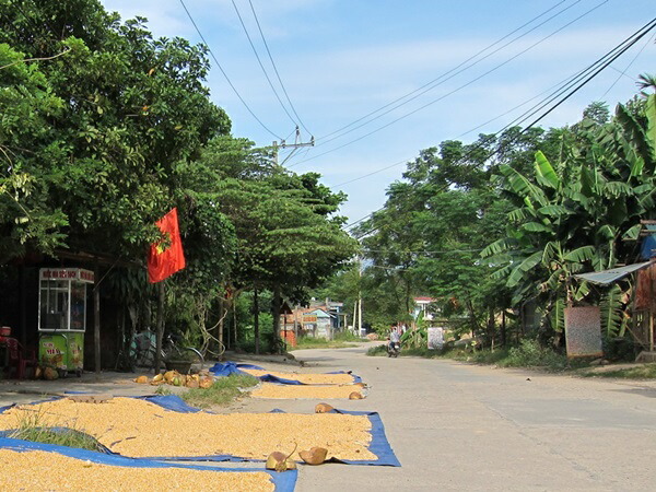 楽天市場】ベトナム産高級沈香 100g量り売り【中高ランク】栽培 沈水