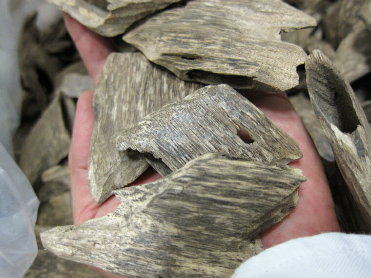 楽天市場】訳あり 沈香 ベトナム産 栽培沈香【中高ランク】100g