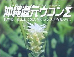 楽天市場】沖縄還元ウコン Σ シグマ 100粒 : 金の豚 楽天市場店