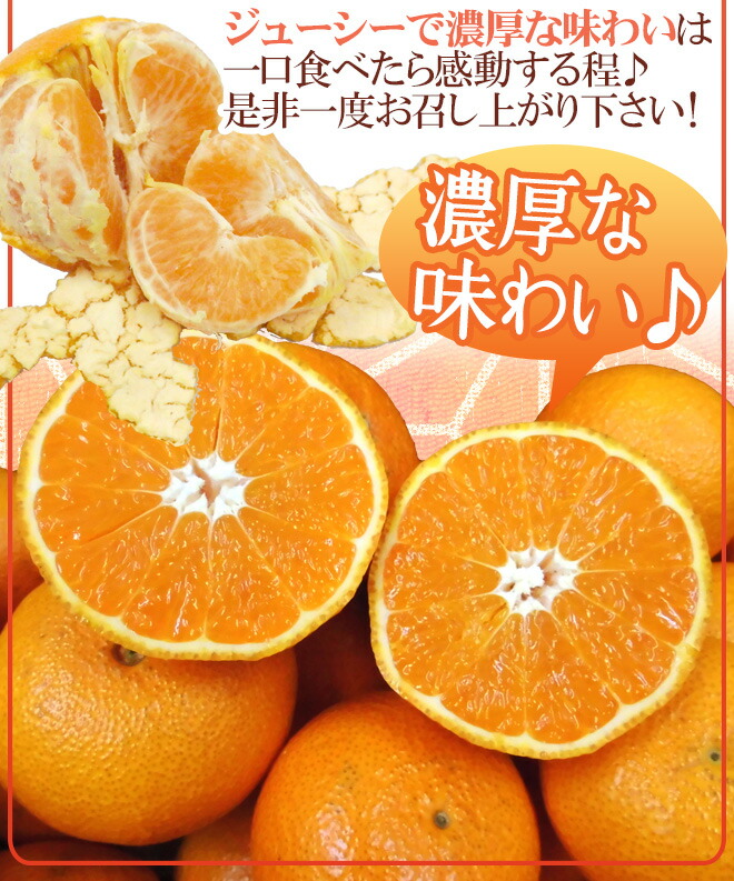 楽天市場】佐賀県 JAからつ ”津之輝” 秀品 約5kg 大きさおまかせ【予約