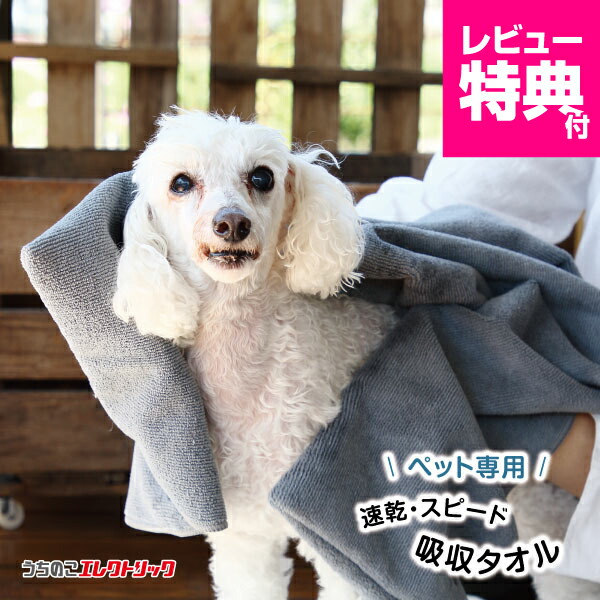 楽天市場】ペットタオル 犬 猫 吸水 速乾 マイクロファイバー 超吸水