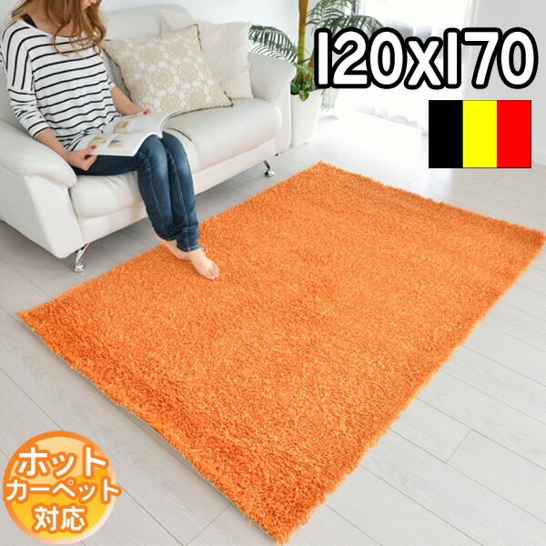 楽天市場】インポートラグ シャギーラグ 120×170 約1畳 長方形