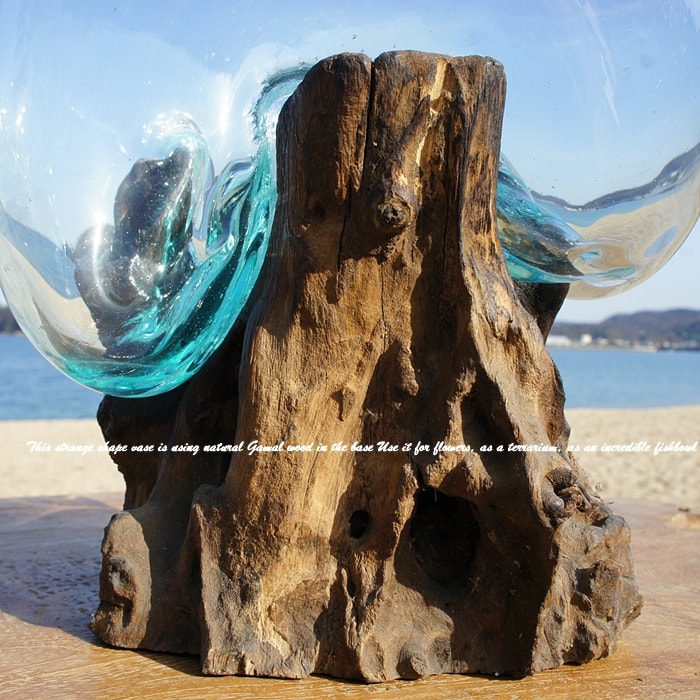 楽天市場】選べる 流木ガラスオブジェ 大きい M24 花瓶 アクアリウム