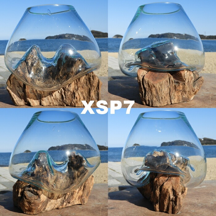 楽天市場】選べる 流木ガラスオブジェ XSP 花瓶 アクアリウム