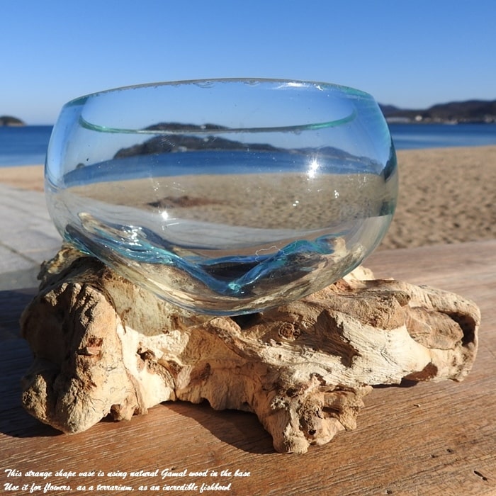 楽天市場】選べる 流木ガラスオブジェ B12 花瓶 アクアリウム