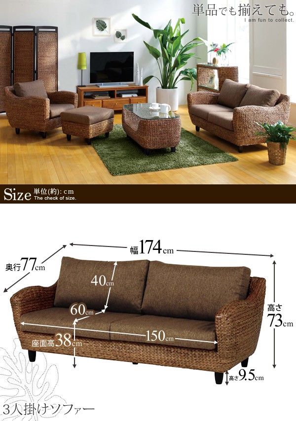 楽天市場】【3/1限定☆10％クーポン配布中】ウォーターヒヤシンス 3人