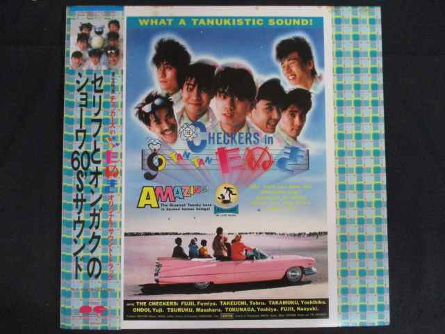 楽天市場】チェッカーズ tantanたぬきの通販