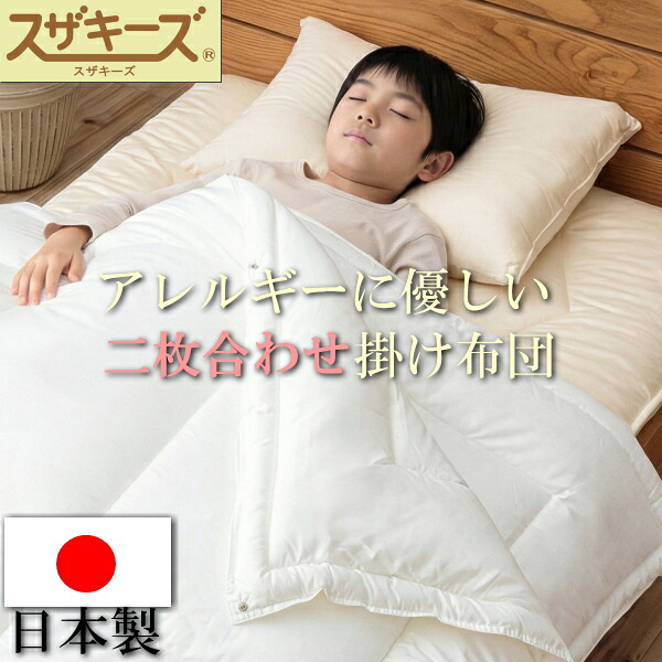 楽天市場】トゥルースリーパー 2枚合わせ掛け布団の通販