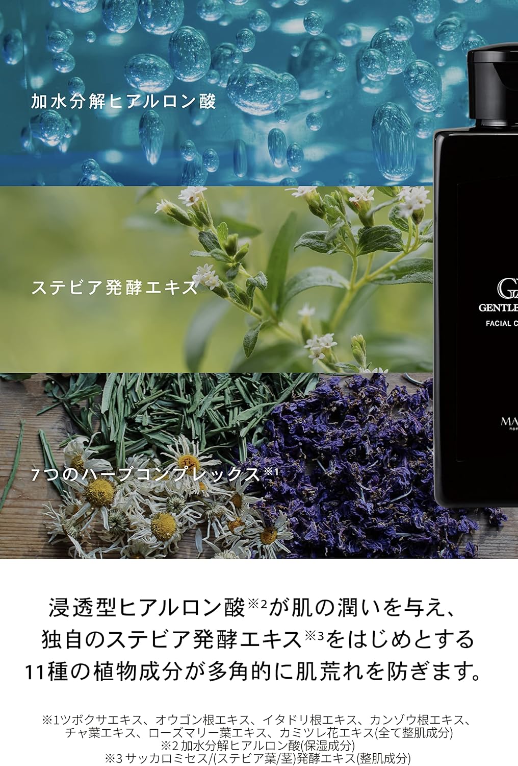 楽天市場】【定価14080円×3個セット】GENTLE・A・MAN/ジェントル・ア