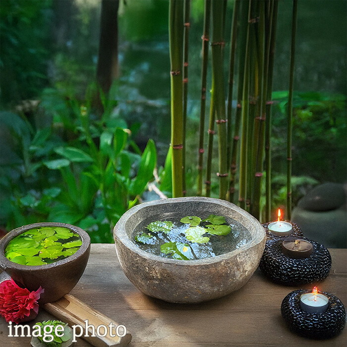 楽天市場】睡蓮鉢 スイレン鉢 （45.5×41×15cm 23kg No.13）【 水鉢 石