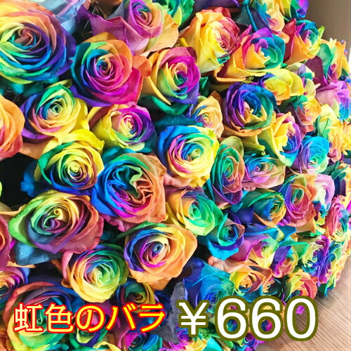 楽天市場】【クール便配送/北海道/沖縄配送可能】 虹色のバラ