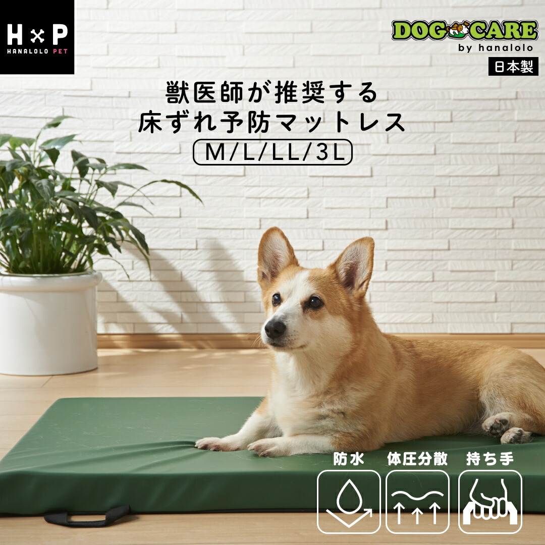 楽天市場】ドッグケア 防水 マットレス M L LL 3L 体圧分散 床ずれ
