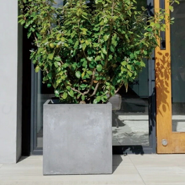 楽天市場】植木鉢 おしゃれ 大型 バスクキューブ (2色) ファイバー