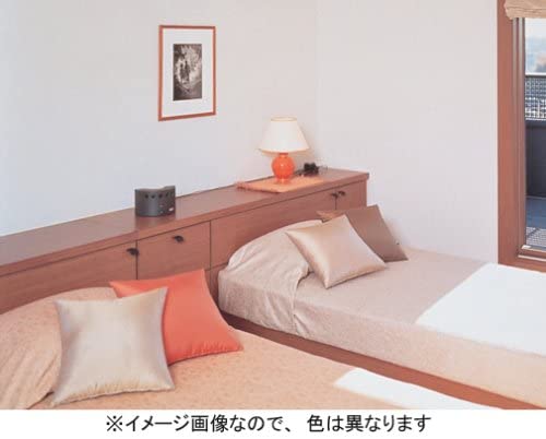 楽天市場】【保証付き】クレバートリック2 空気清浄 脱臭器 イオン式