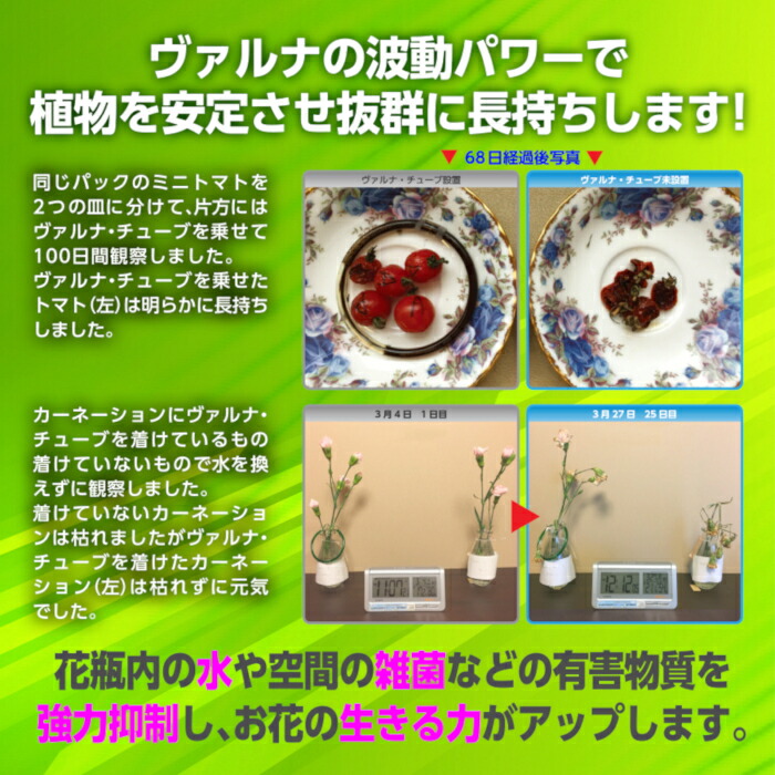 楽天市場】ヴァルナチューブ首用 ネックレス型 3色×長さ2タイプ 高波動