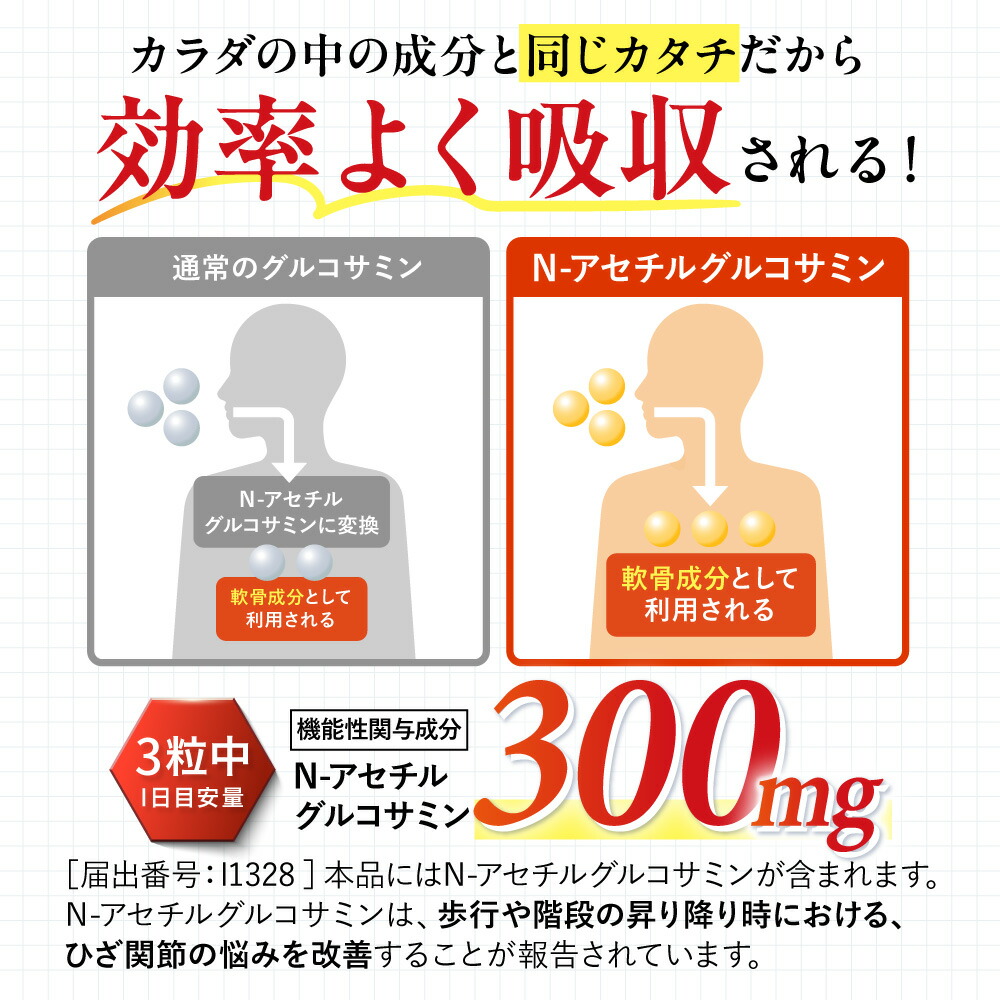 コンドロイチン不足様 リクエスト28点 コンドロイチン不足様