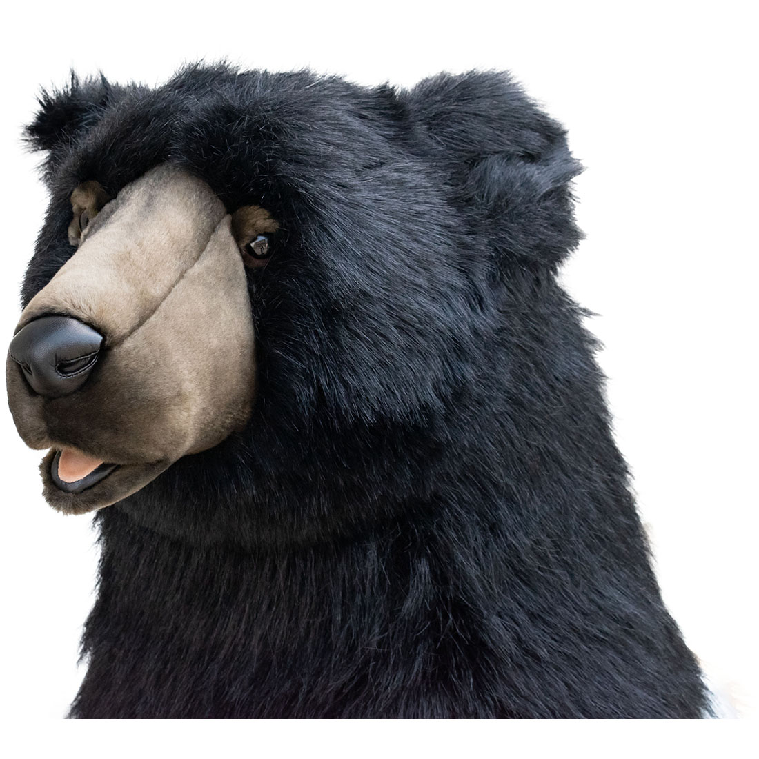 楽天市場】HANSA ツキノワグマ 黒クマ 158 高さ145(cm) 4920 クマ 熊