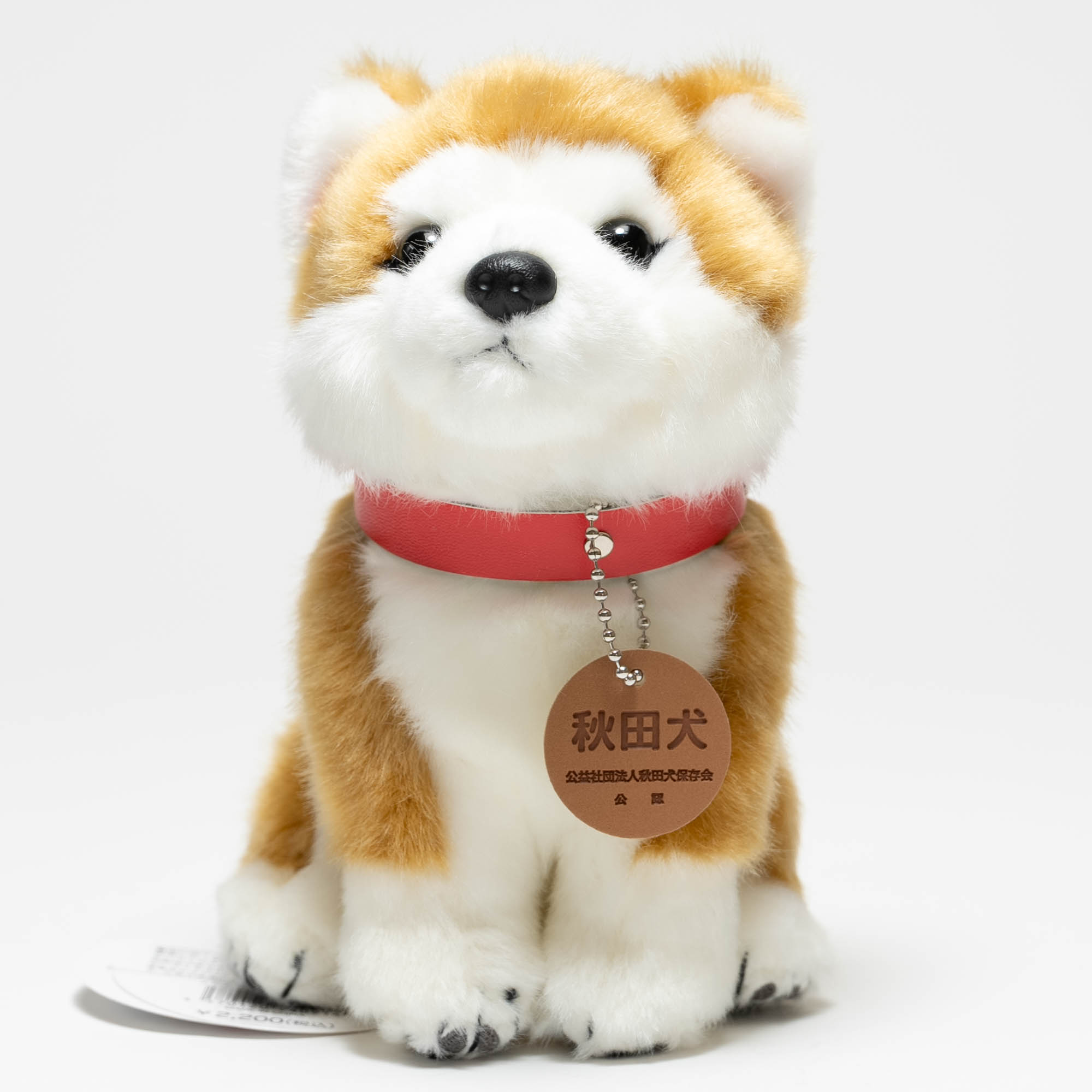 楽天市場】公益社団法人秋田犬保存会よちよち秋田犬 赤毛 : 秋田県物産