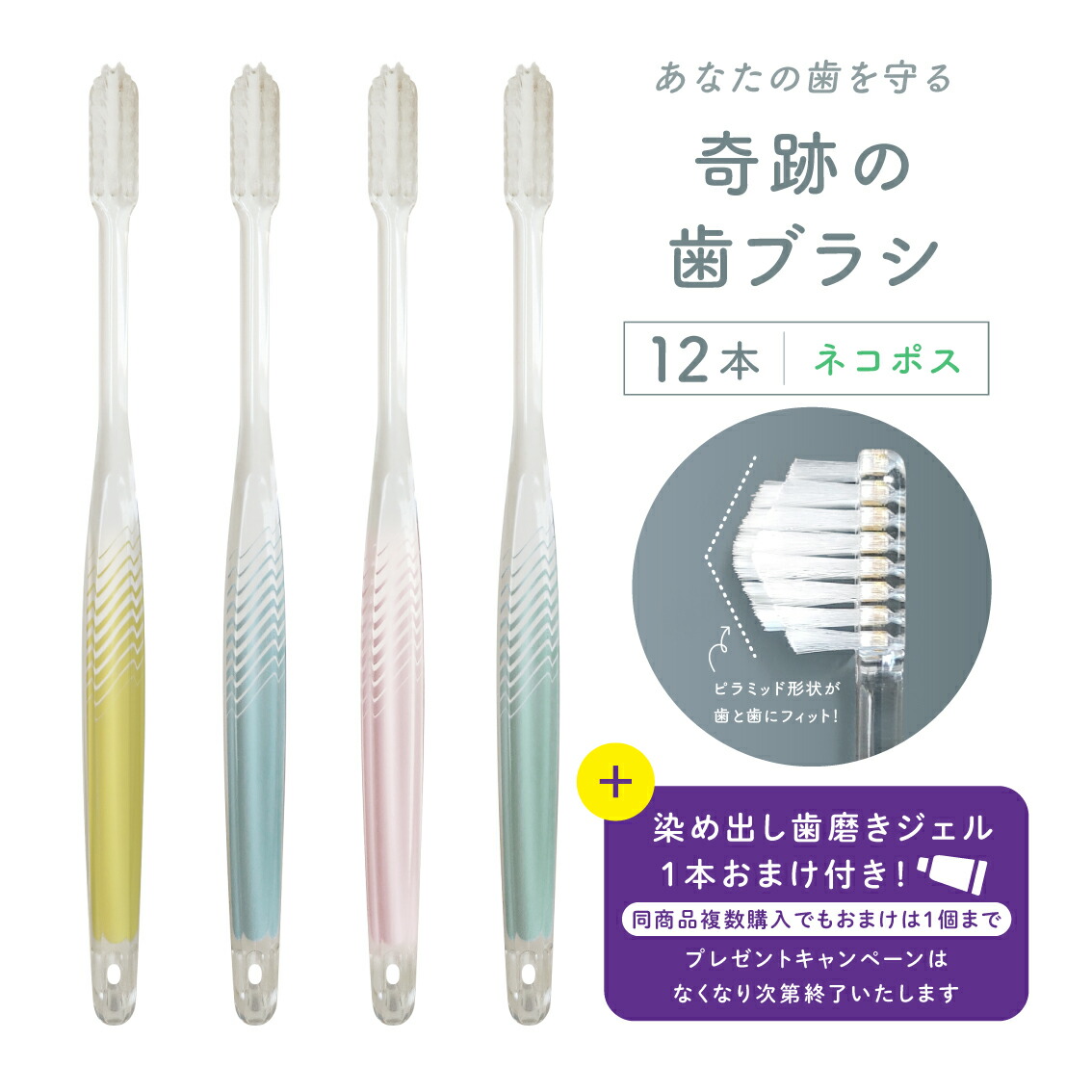楽天市場】公式【送料無料】奇跡の歯ブラシ〈パステル〉 12本セット