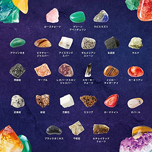 楽天市場】XXTOYS 鉱石標本48種 天然鉱石 宝石おもちゃ 岩石標本