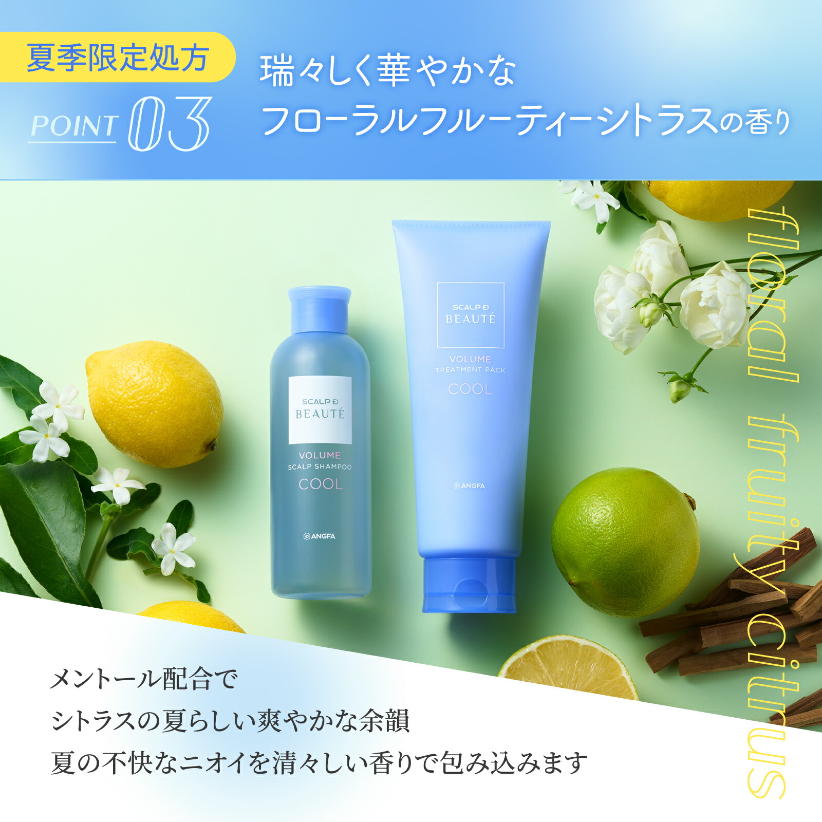 楽天市場】スカルプD ボーテ スカルプシャンプー&トリートメント