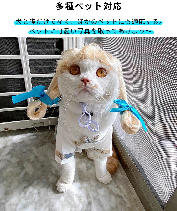 楽天市場】ペットウィッグ お笑い ペット ハロウインコスプレ ヘッド