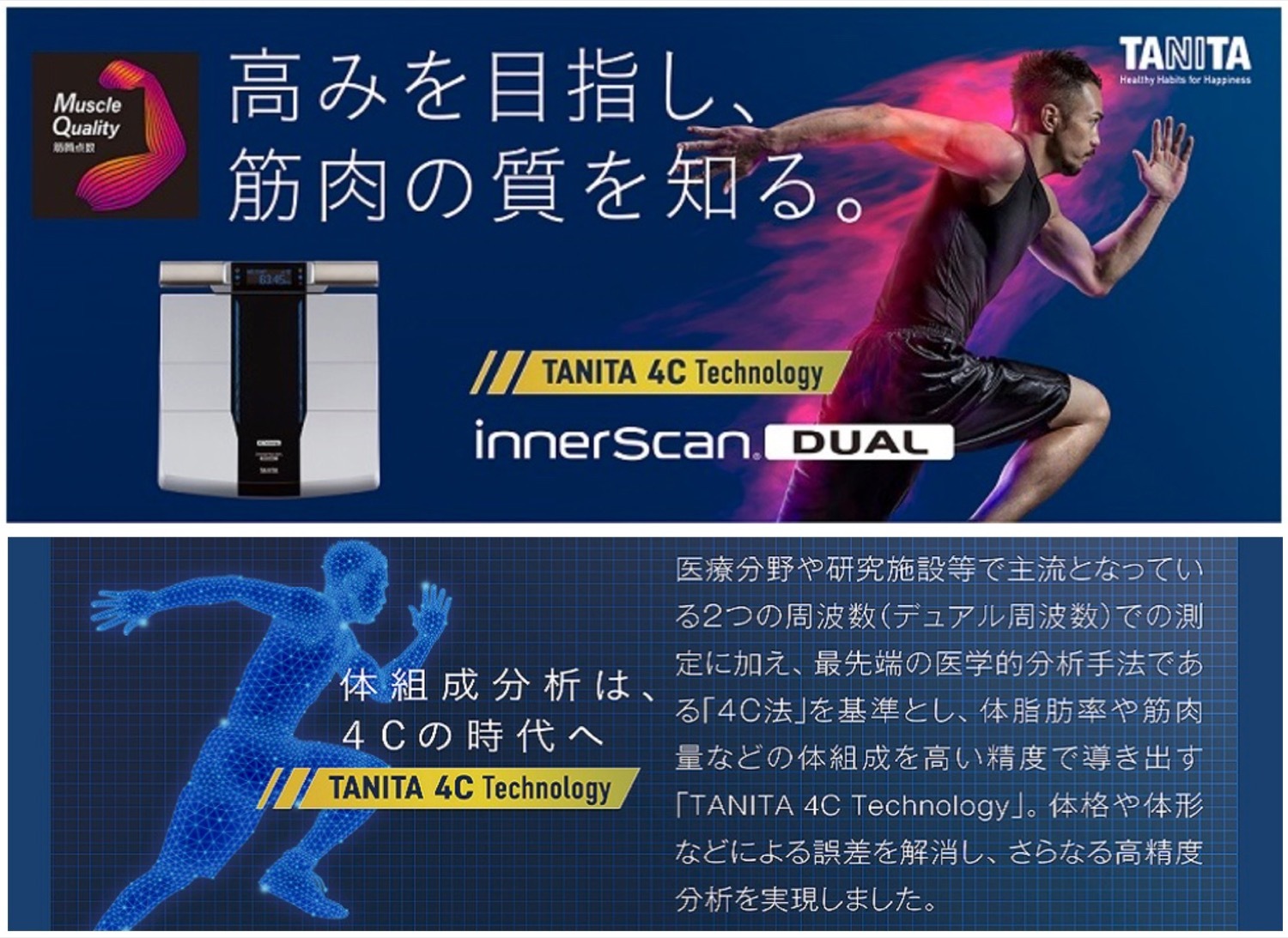 楽天市場】タニタ RD-803L-BK 体組成計 左右部位別 26項目 筋肉 筋質