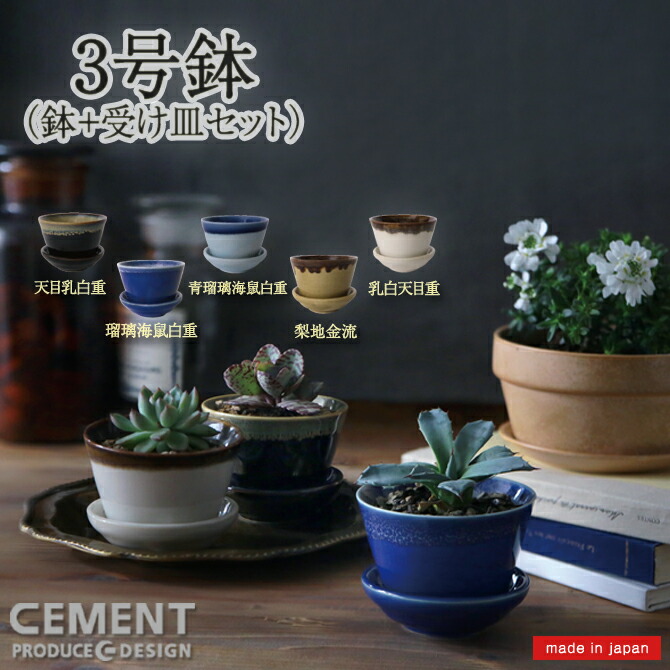 楽天市場】匣庭 （ハコニワ） 植木鉢 3号 日本製 CEMENT セメント