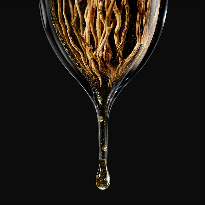 楽天市場】【公式/限定】アルマーニ プリヴェ コガネ | armani