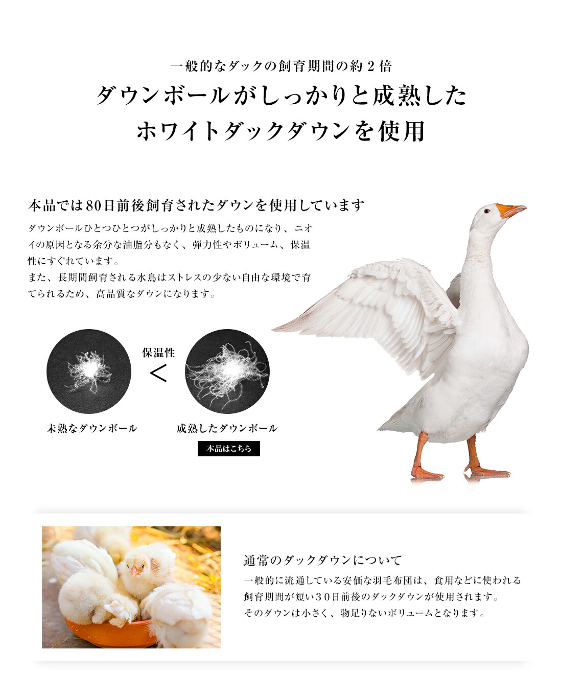 楽天市場】【楽天SS 10%OFF 3/4 20:00開始】高級 羽毛布団 二層式