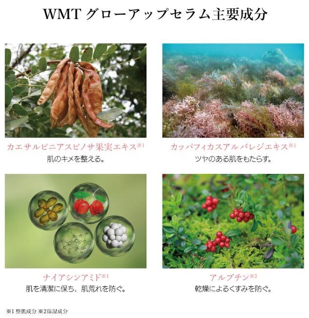 楽天市場】美容液【 A. GLOBAL公式 】潤いにこだわった美容液 WMT